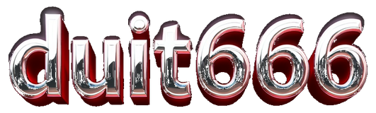 duit666 logo